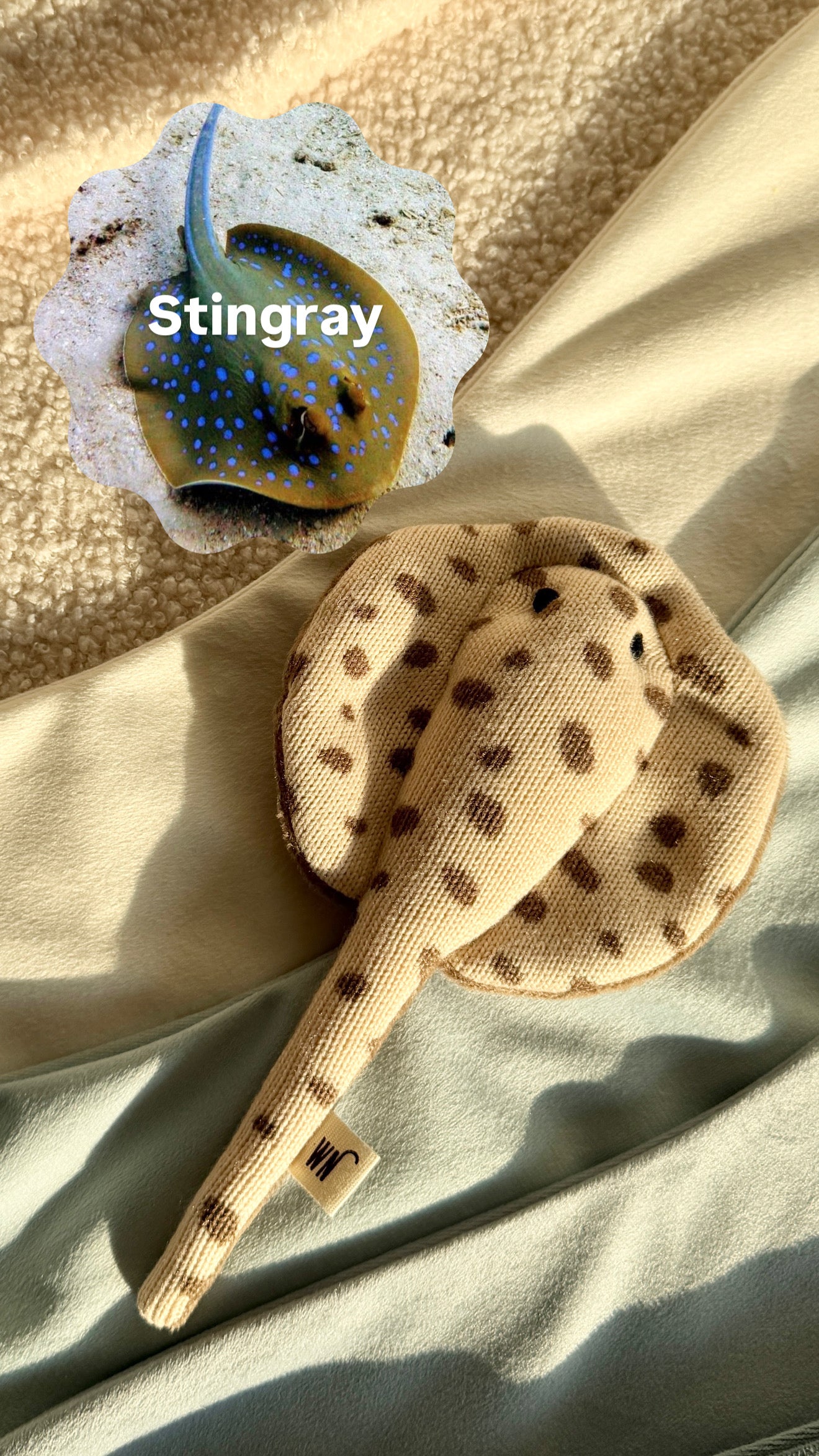 Wetnose｜海洋系列-魟魚 Stingray