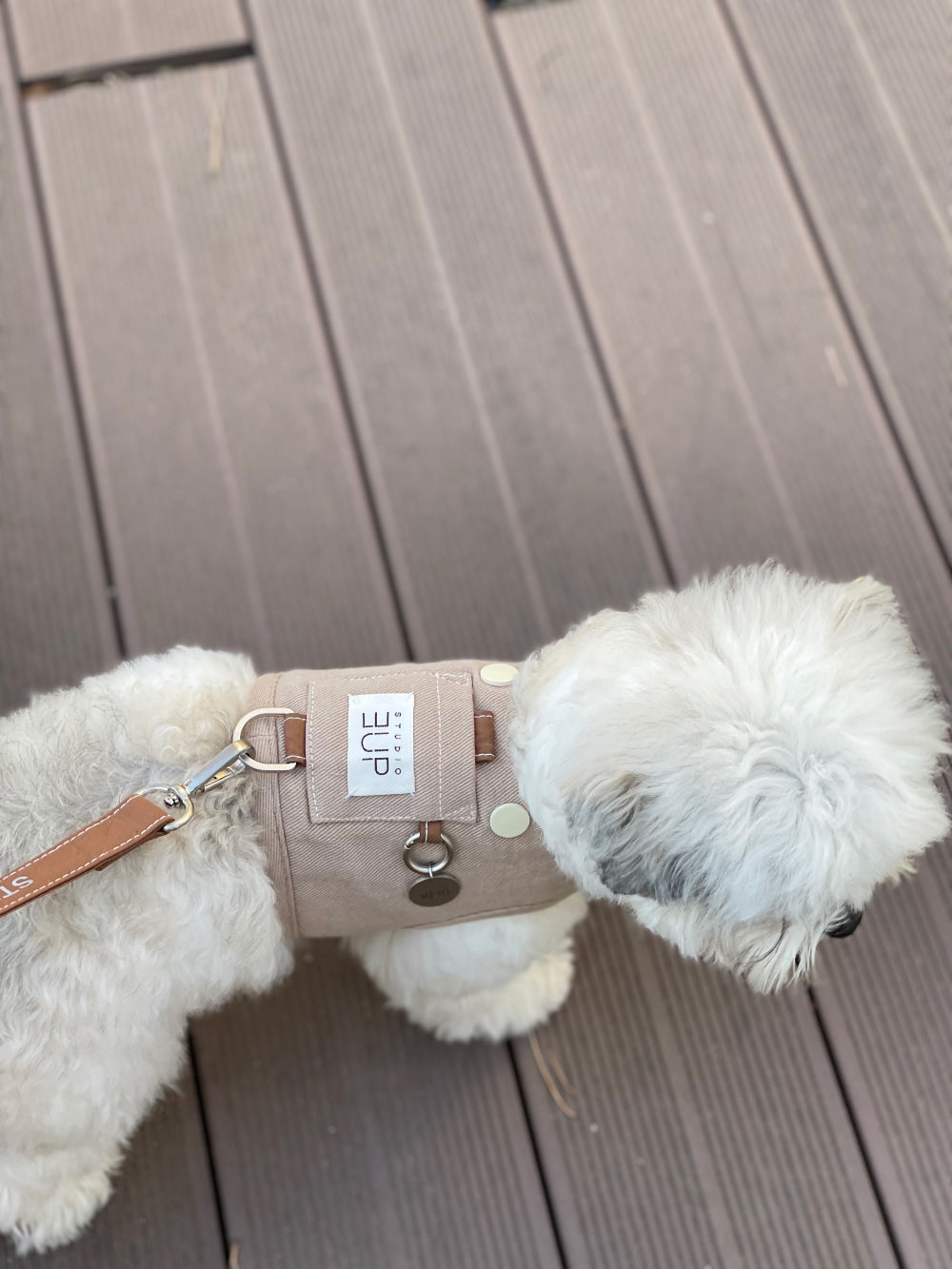 Studio3Up｜舒適胸背帶＋圓形吊牌組｜PRETZEL comfy harness & CIRCLE name tag