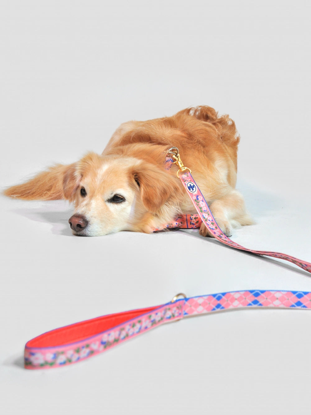 TWB｜Blooming Deer Signature Leash (20/25mm)｜花鹿經典牽繩(20/25mm)