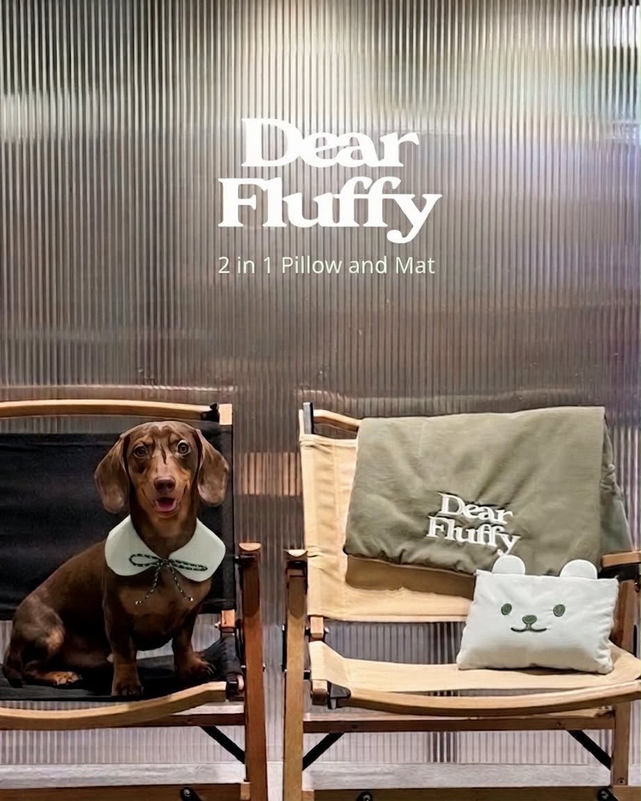 Dear Fluffy｜防水2合1枕頭連坐墊（4色）優惠至9/30