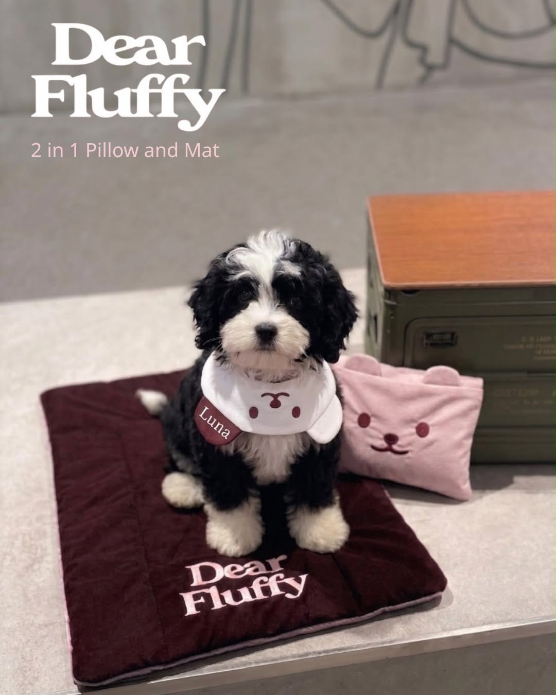 Dear Fluffy｜防水2合1枕頭連坐墊（4色）優惠至9/30