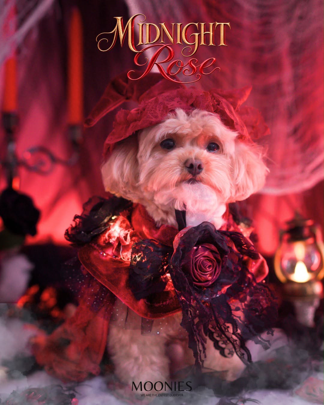 moonies｜🔮 Velvet Rose Pet G-Cape