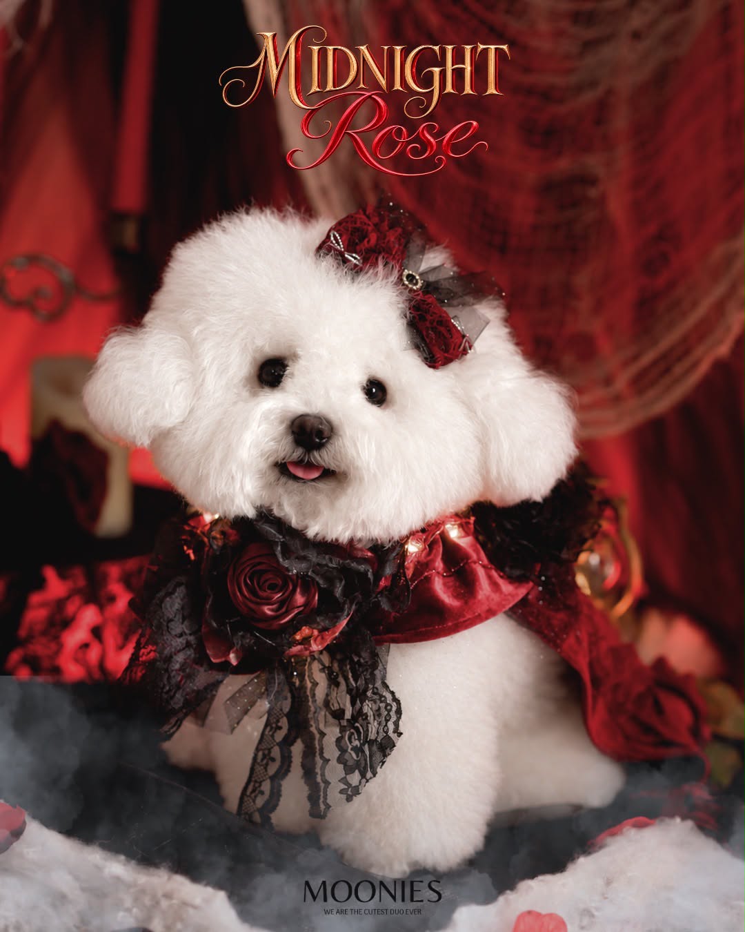 moonies｜🔮 Velvet Rose Pet G-Cape