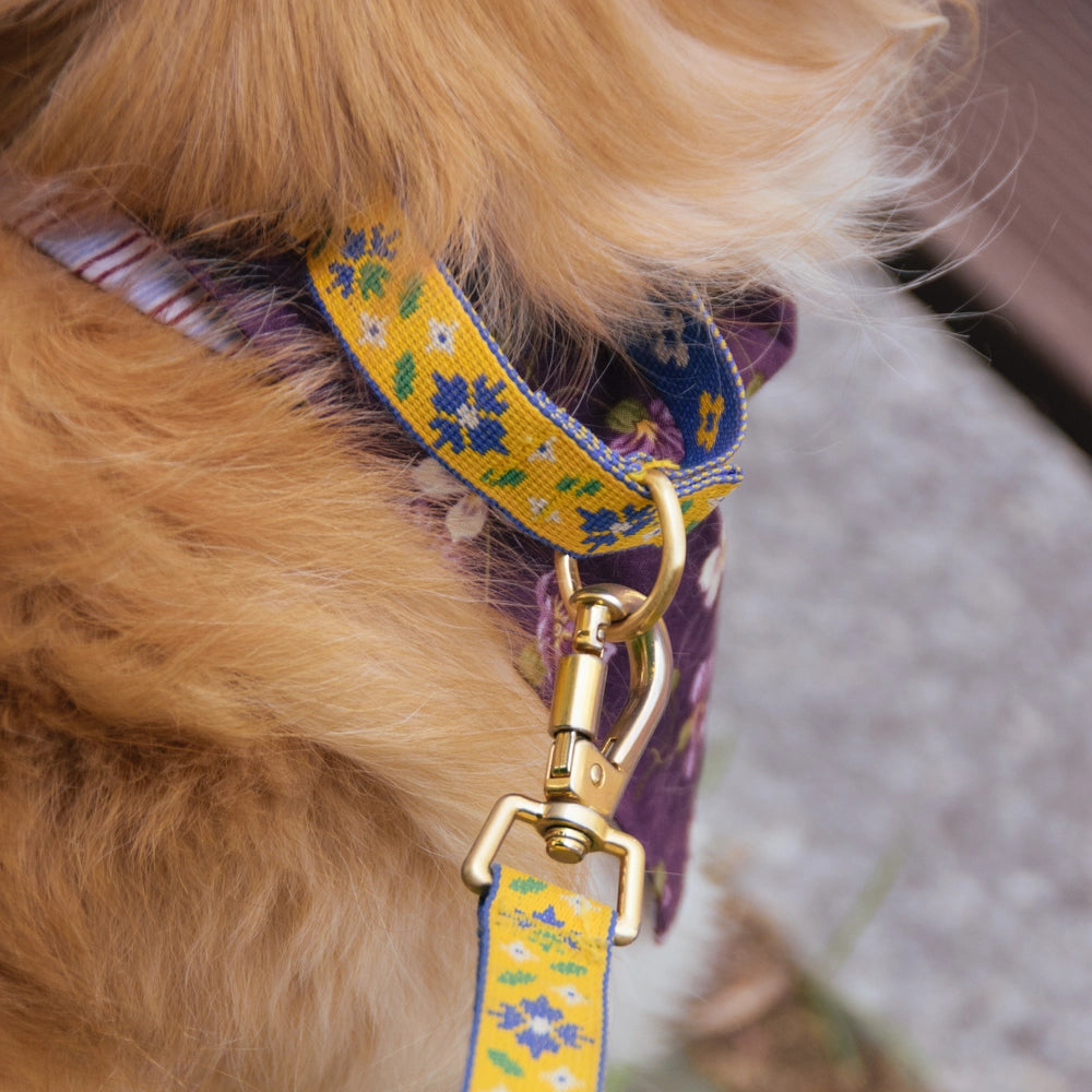 TWB｜Peony Martingale Collar｜牡丹安全防脫項圈