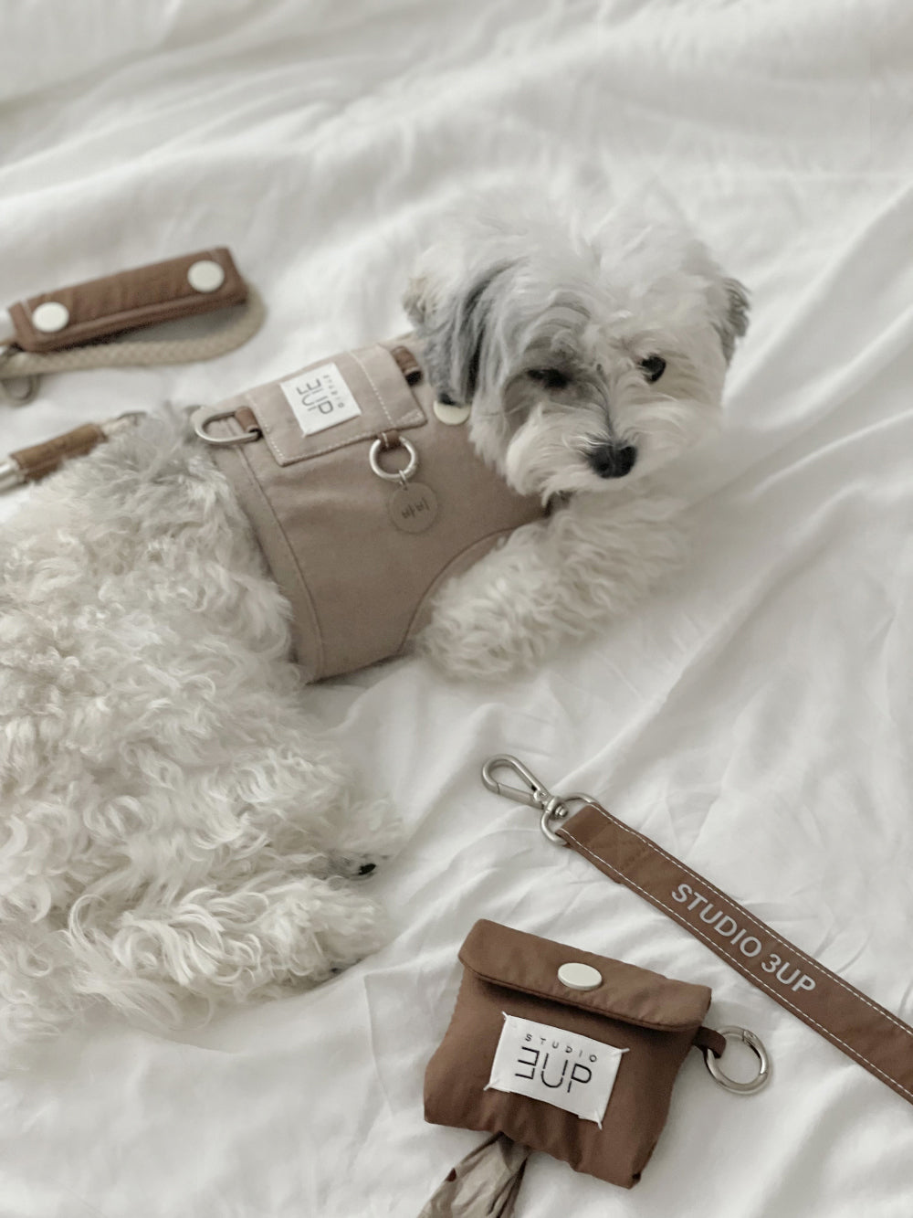 Studio3Up｜舒適胸背帶＋棉質牽繩組｜PRETZEL comfy harness & cotton leash