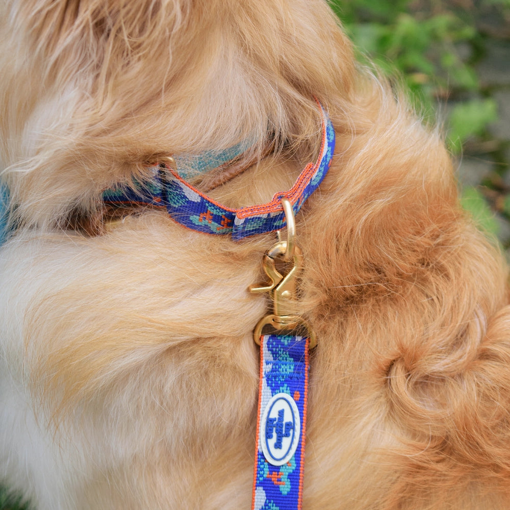 TWB｜Ilwolobongdo Martingale Collar｜日月五峰圖安全防脫項圈
