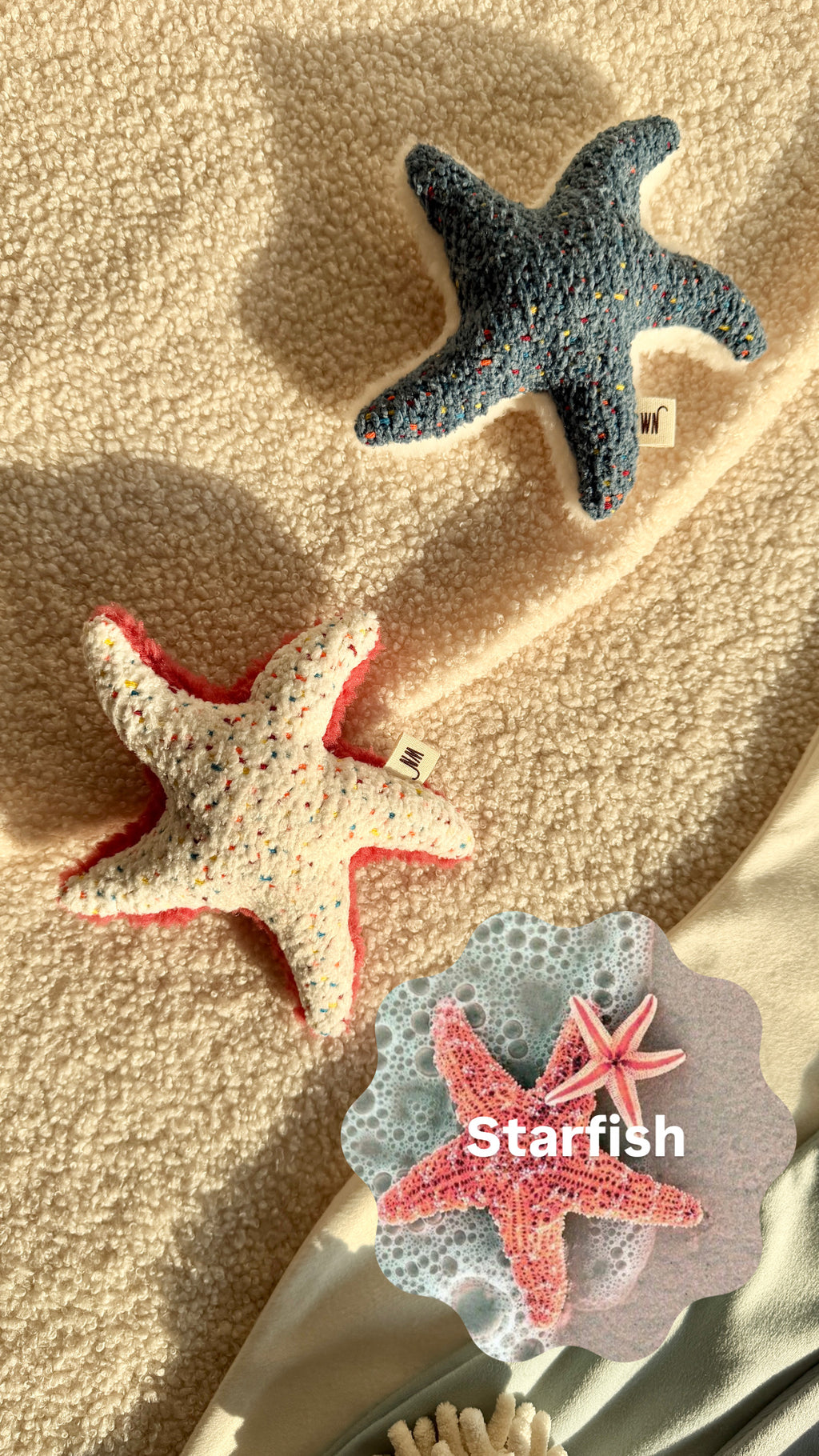 Wetnose｜海洋系列-海星 starfish