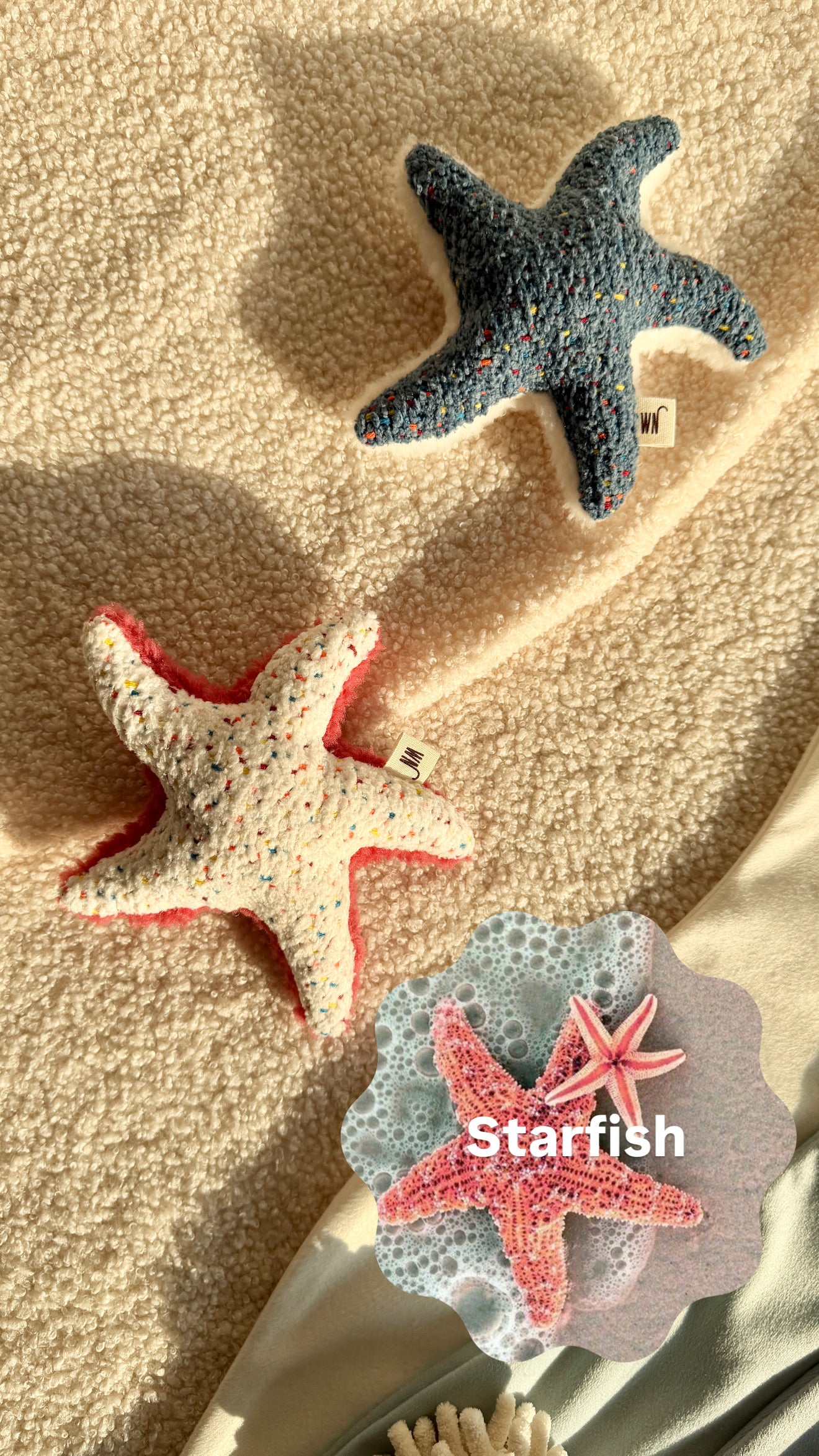 Wetnose｜海洋系列-海星 starfish