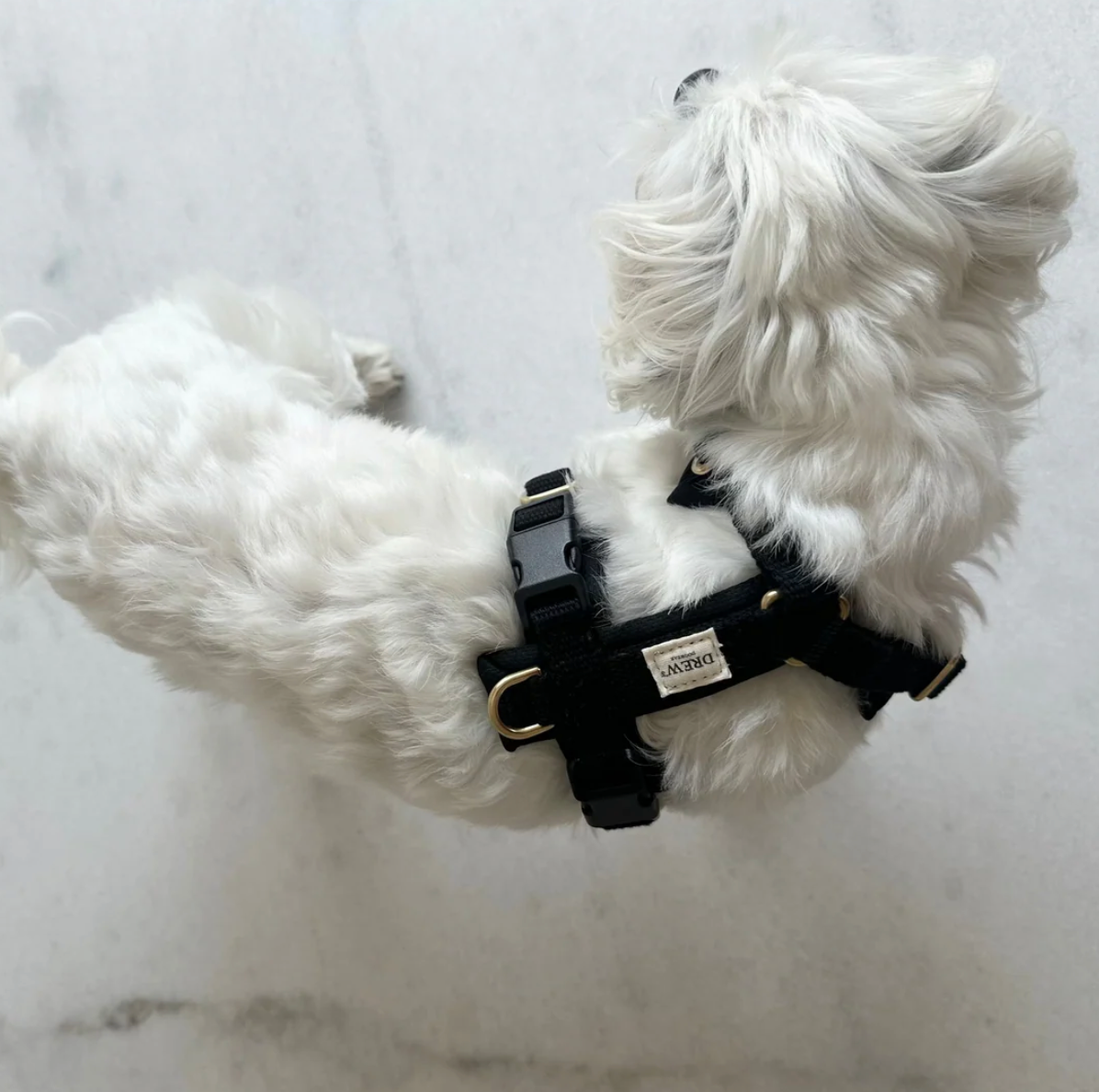 Drew's｜Soft & Adjustable Dog Harness (PRO) 襯墊胸背帶