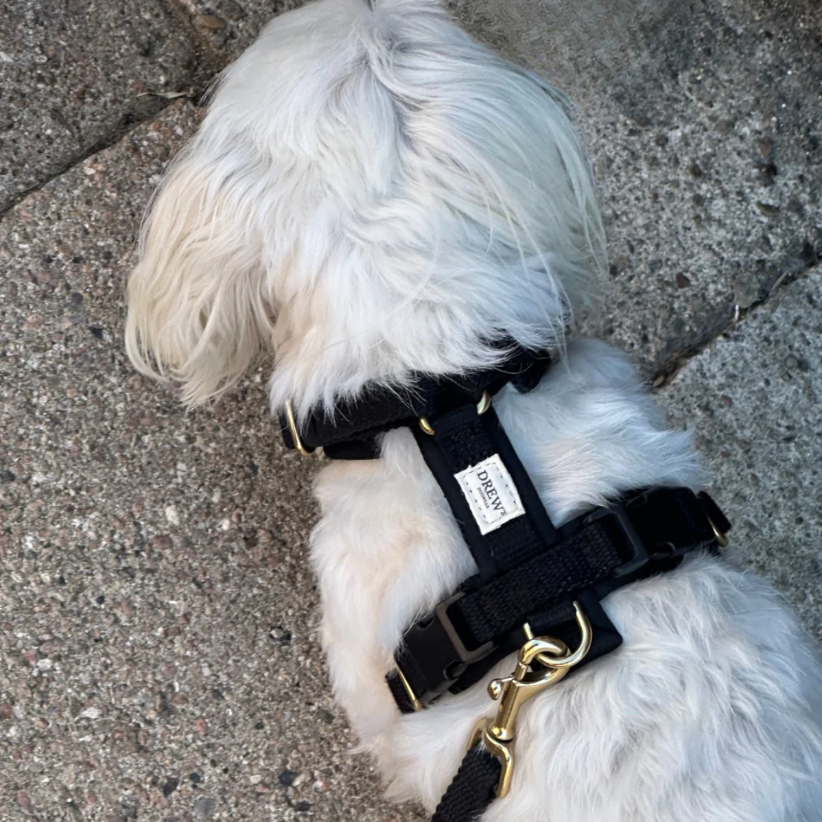 Drew's｜Soft & Adjustable Dog Harness (PRO) 襯墊胸背帶