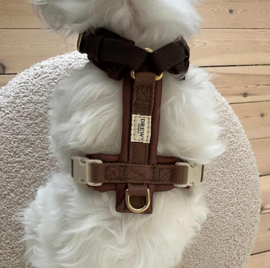 Drew's｜Soft & Adjustable Dog Harness (PRO) 襯墊胸背帶
