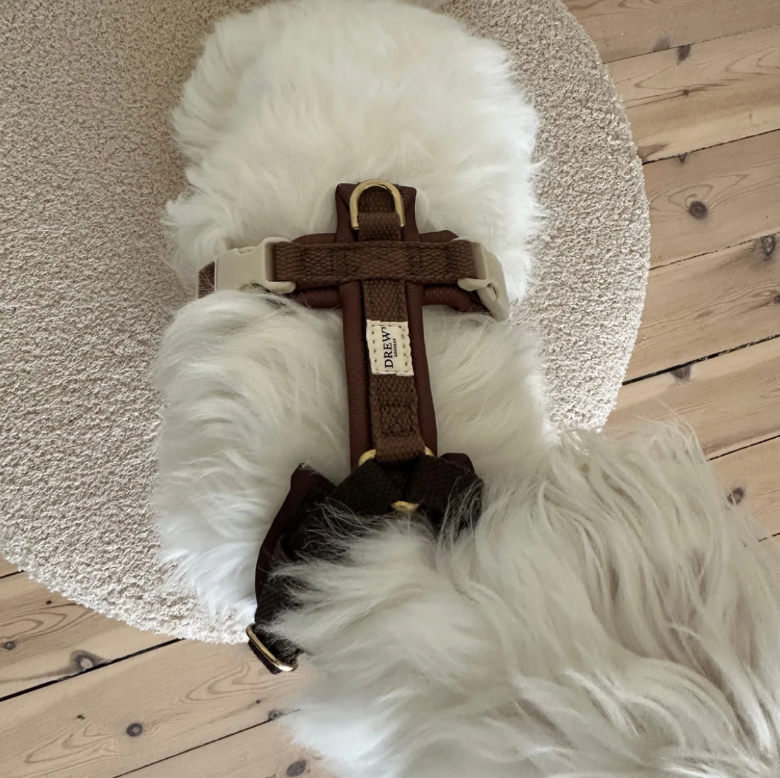 Drew's｜Soft & Adjustable Dog Harness (PRO) 襯墊胸背帶