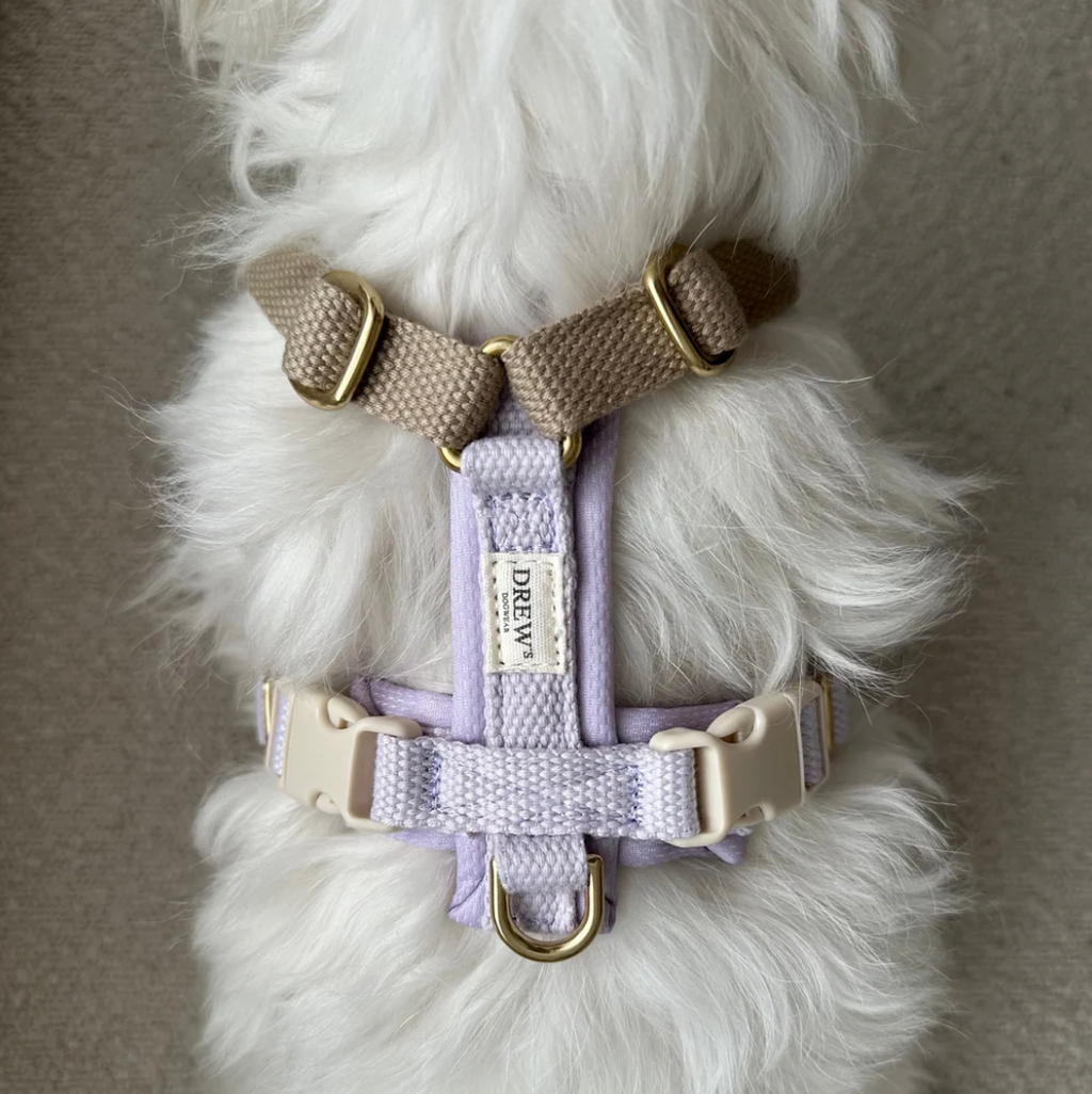 Drew's｜Soft & Adjustable Dog Harness (PRO) 襯墊胸背帶