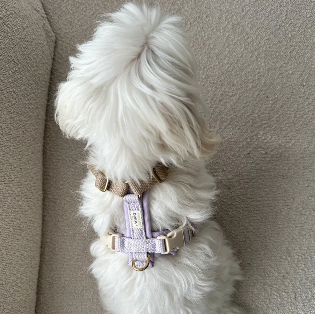 Drew's｜Soft & Adjustable Dog Harness (PRO) 襯墊胸背帶