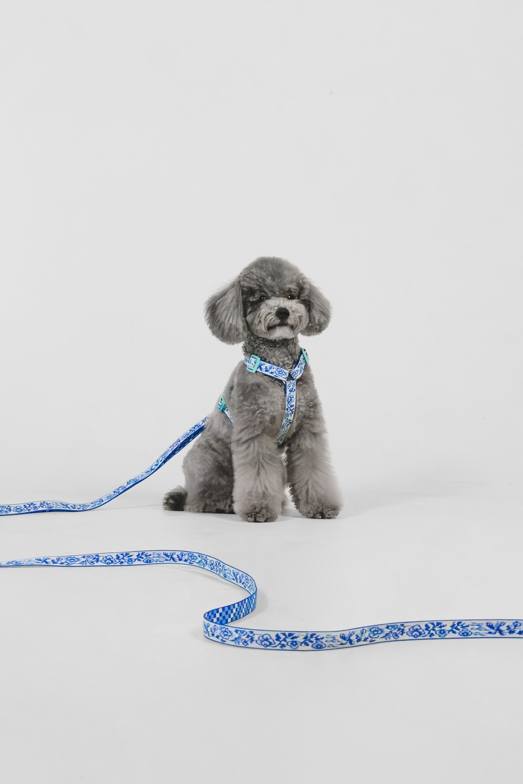 TWB｜Blue Birds Handsfree Leash｜青花白瓷免手持長牽繩
