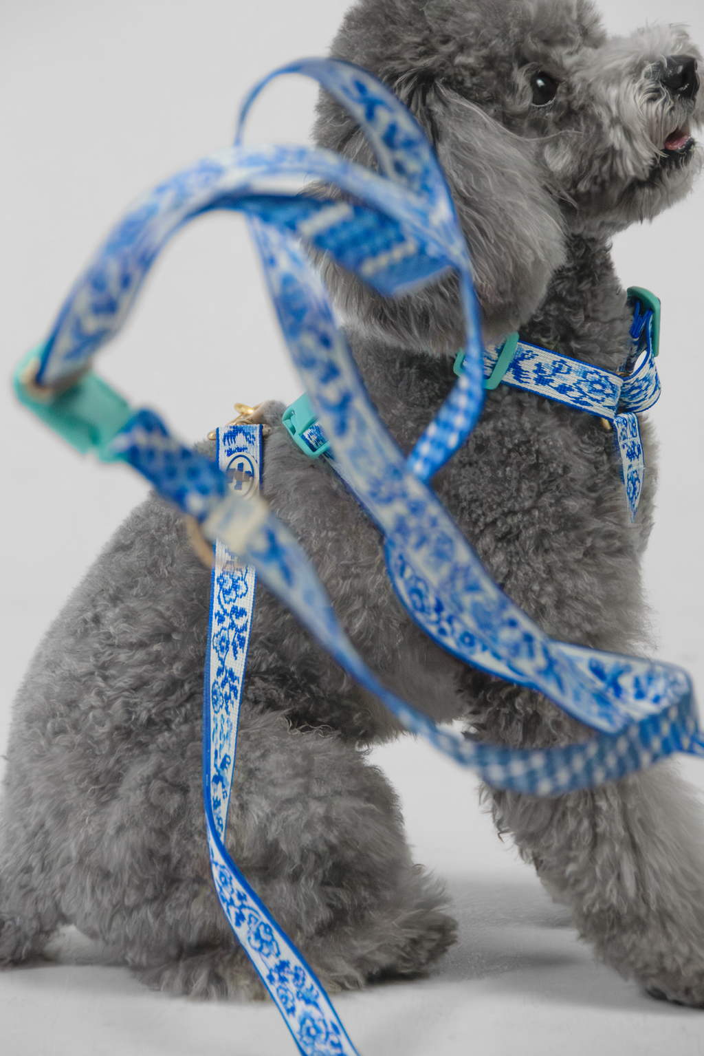 TWB｜Blue Birds Handsfree Leash｜青花白瓷免手持長牽繩