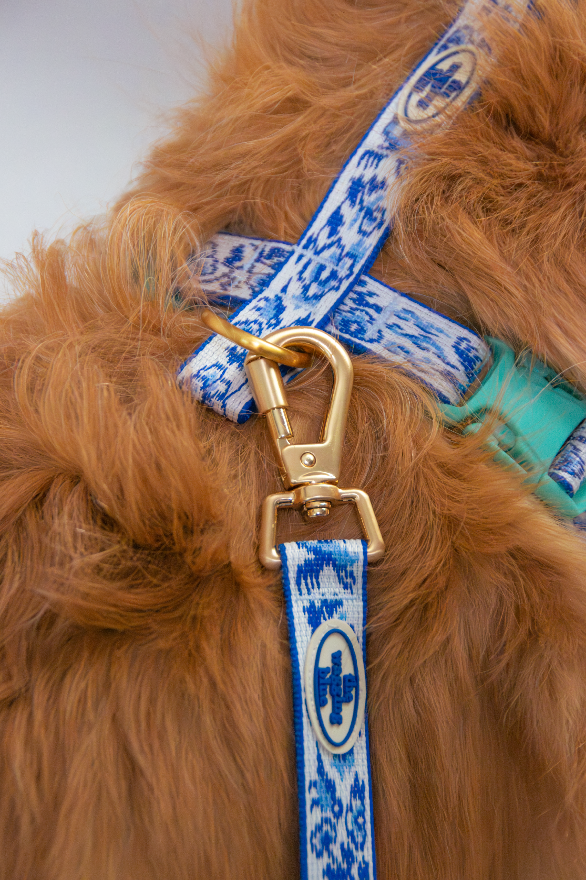 TWB｜Blue Birds Handsfree Leash｜青花白瓷免手持長牽繩