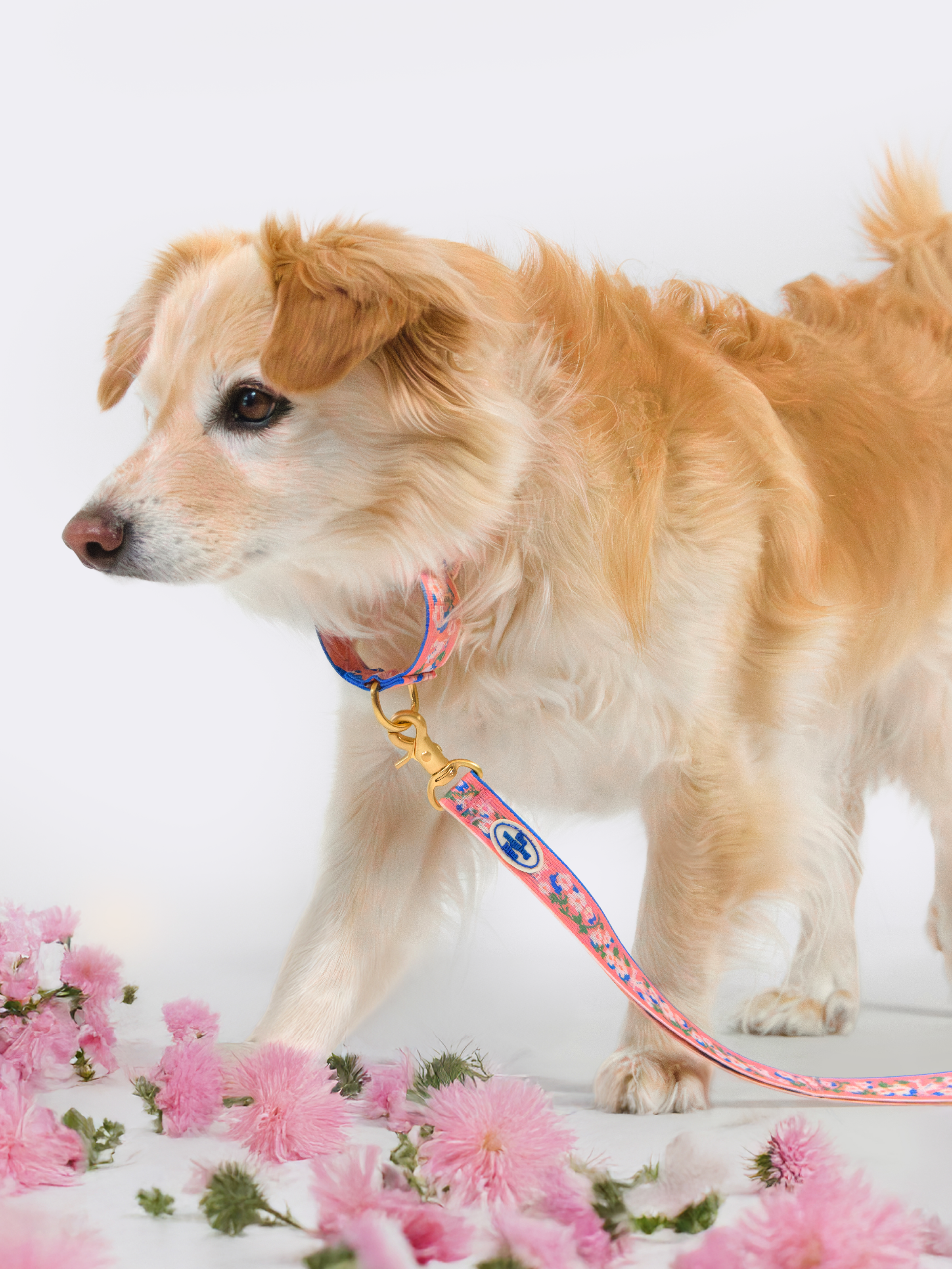 TWB｜Blooming Deer Martingale Collar｜花鹿安全防脫項圈