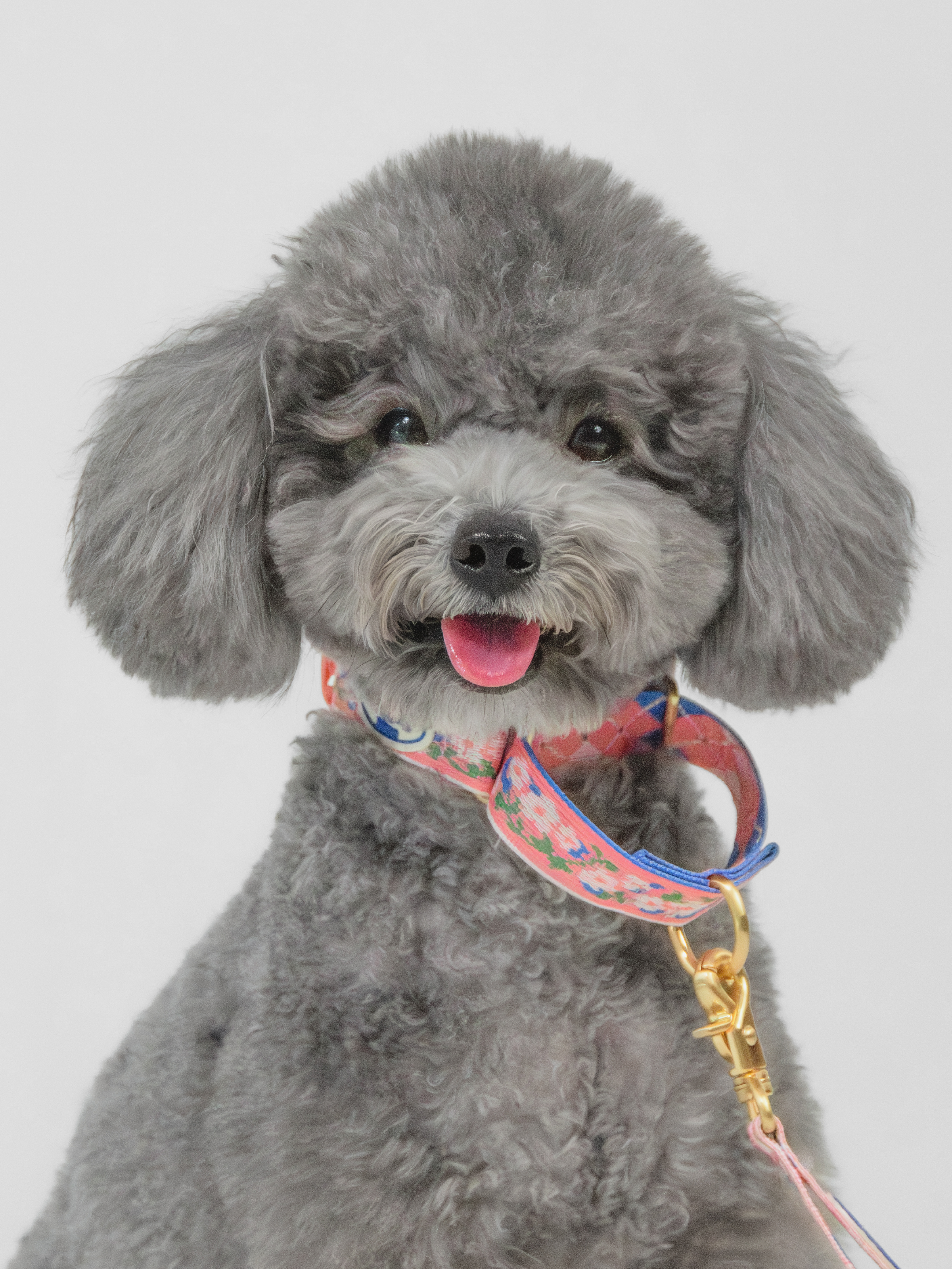TWB｜Blooming Deer Martingale Collar｜花鹿安全防脫項圈