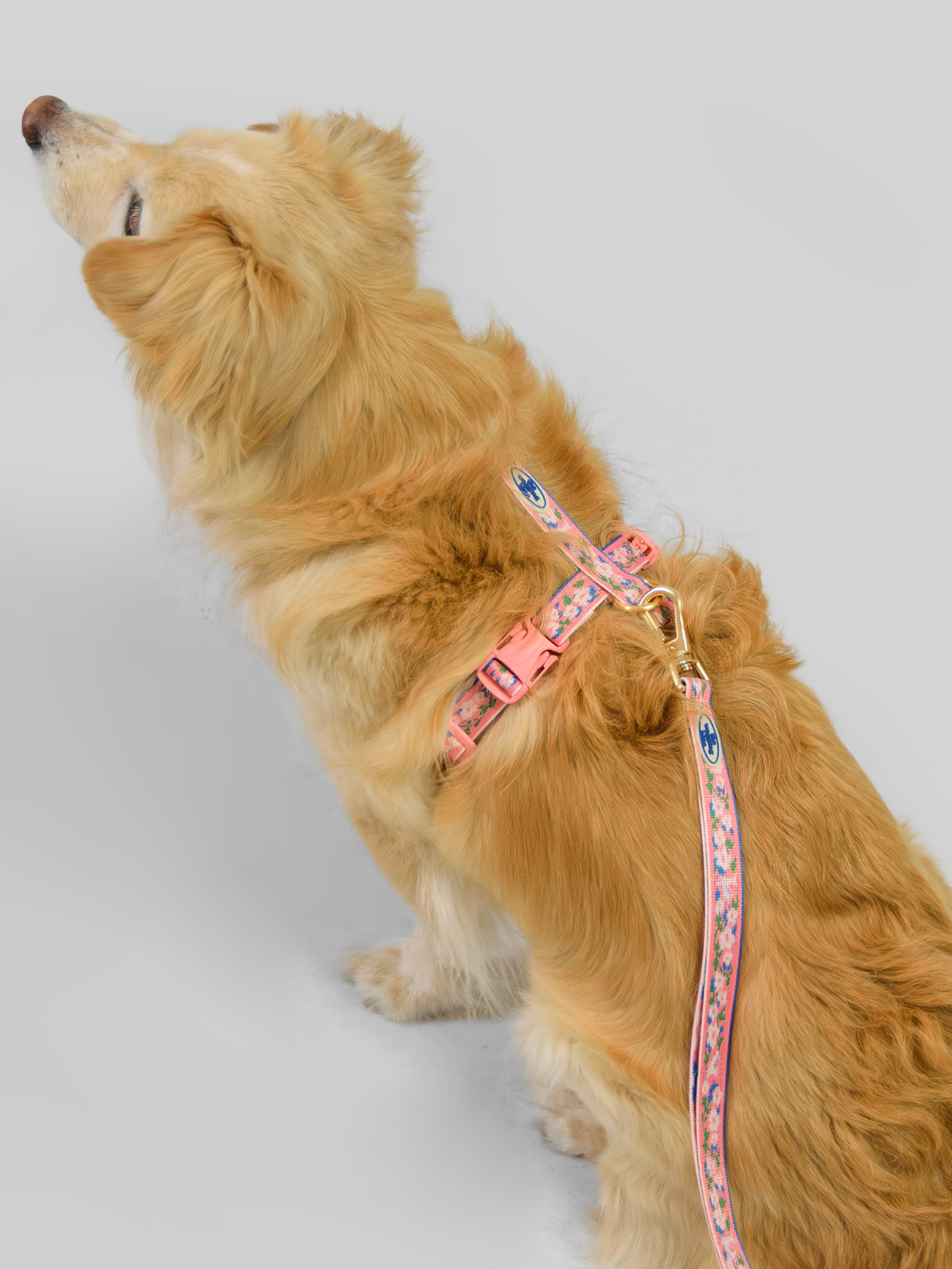 TWB｜Blooming Deer Run Harness｜花鹿 Run H型胸背帶