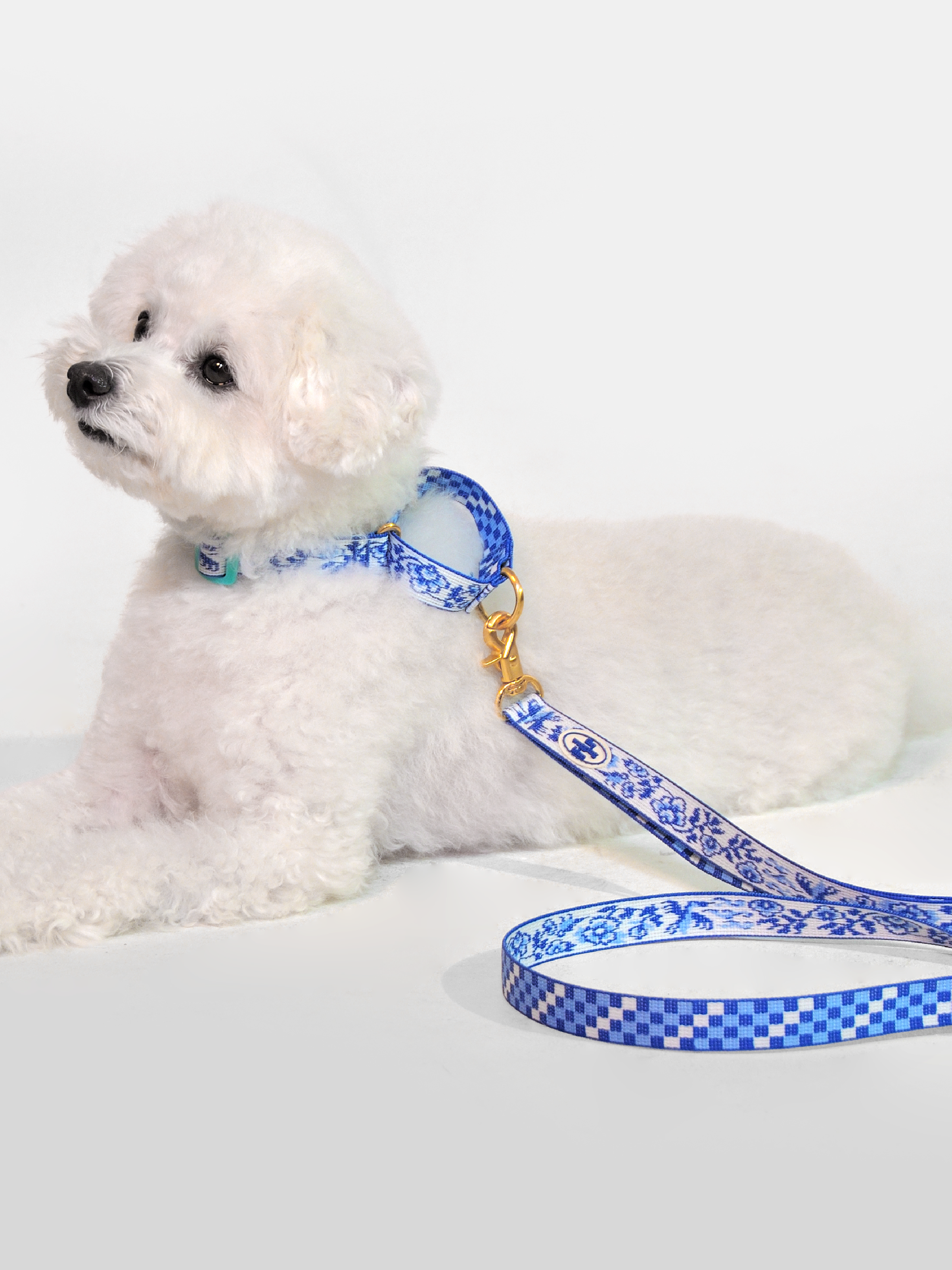 TWB｜Blue Birds Martingale Collar｜青花白瓷安全防逃脫項圈