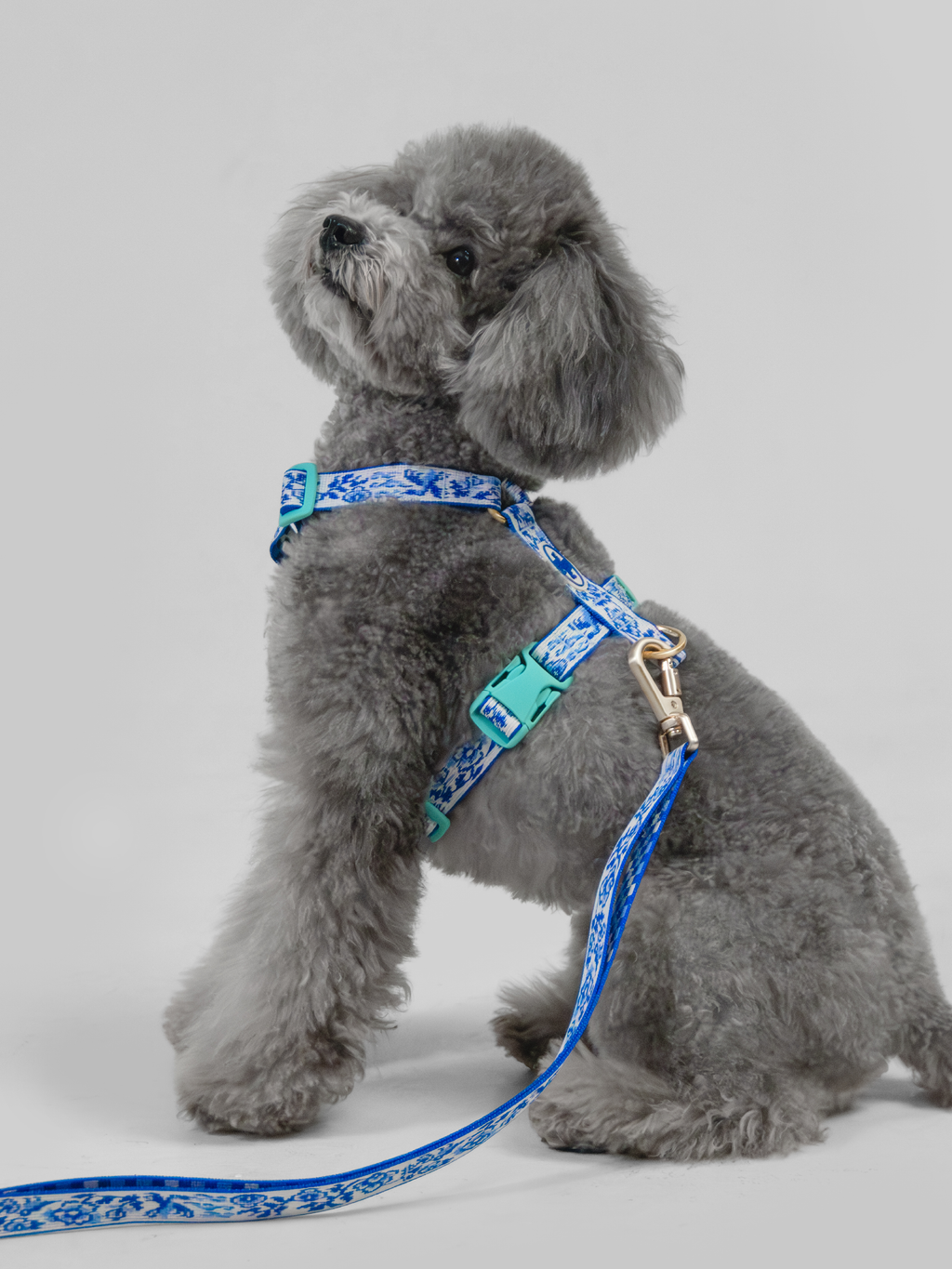 TWB｜Blue Birds Run Harness｜青花白瓷 Run H型胸背帶