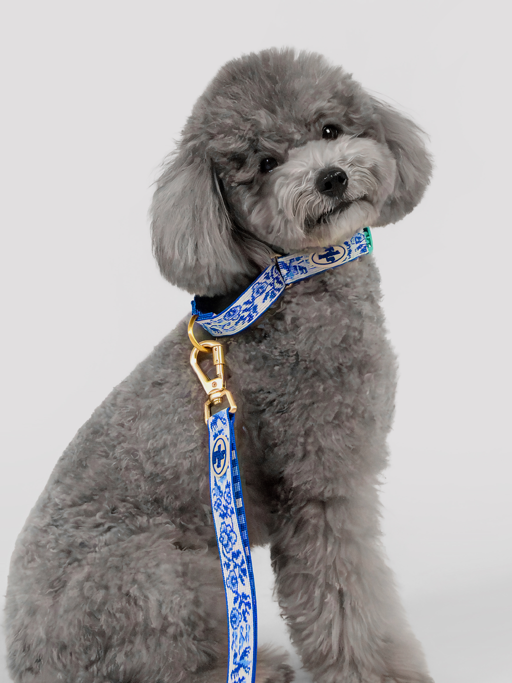 TWB｜Blue Birds Martingale Collar｜青花白瓷安全防逃脫項圈