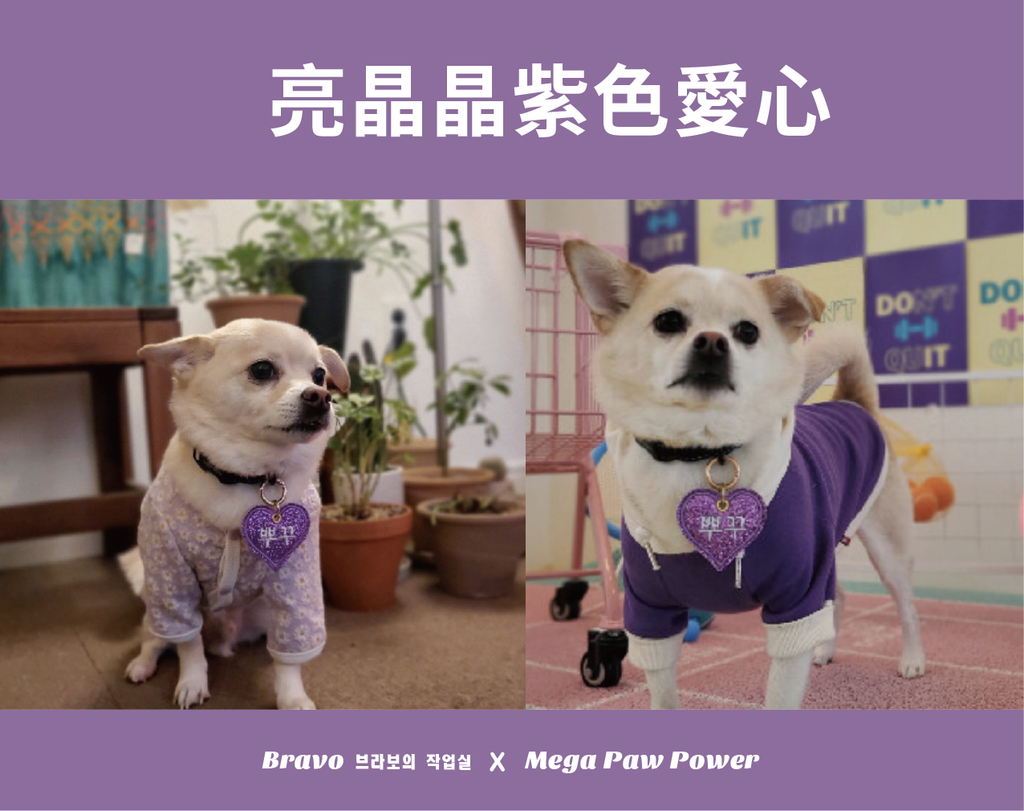 預購｜Bravo 亮晶晶紫色愛心