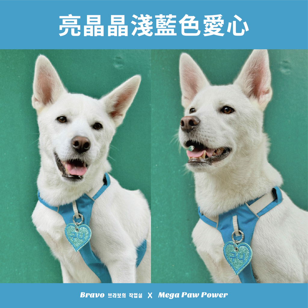 預購｜Bravo 亮晶晶淺藍色愛心
