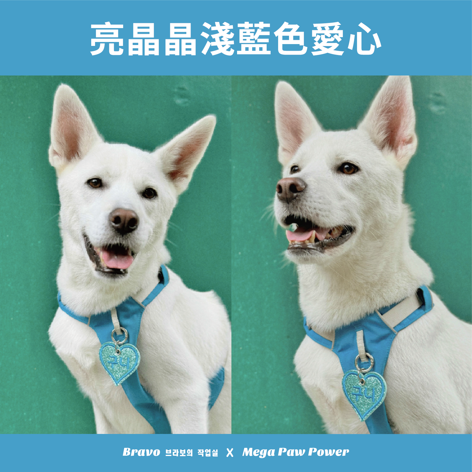 預購｜Bravo 亮晶晶淺藍色愛心