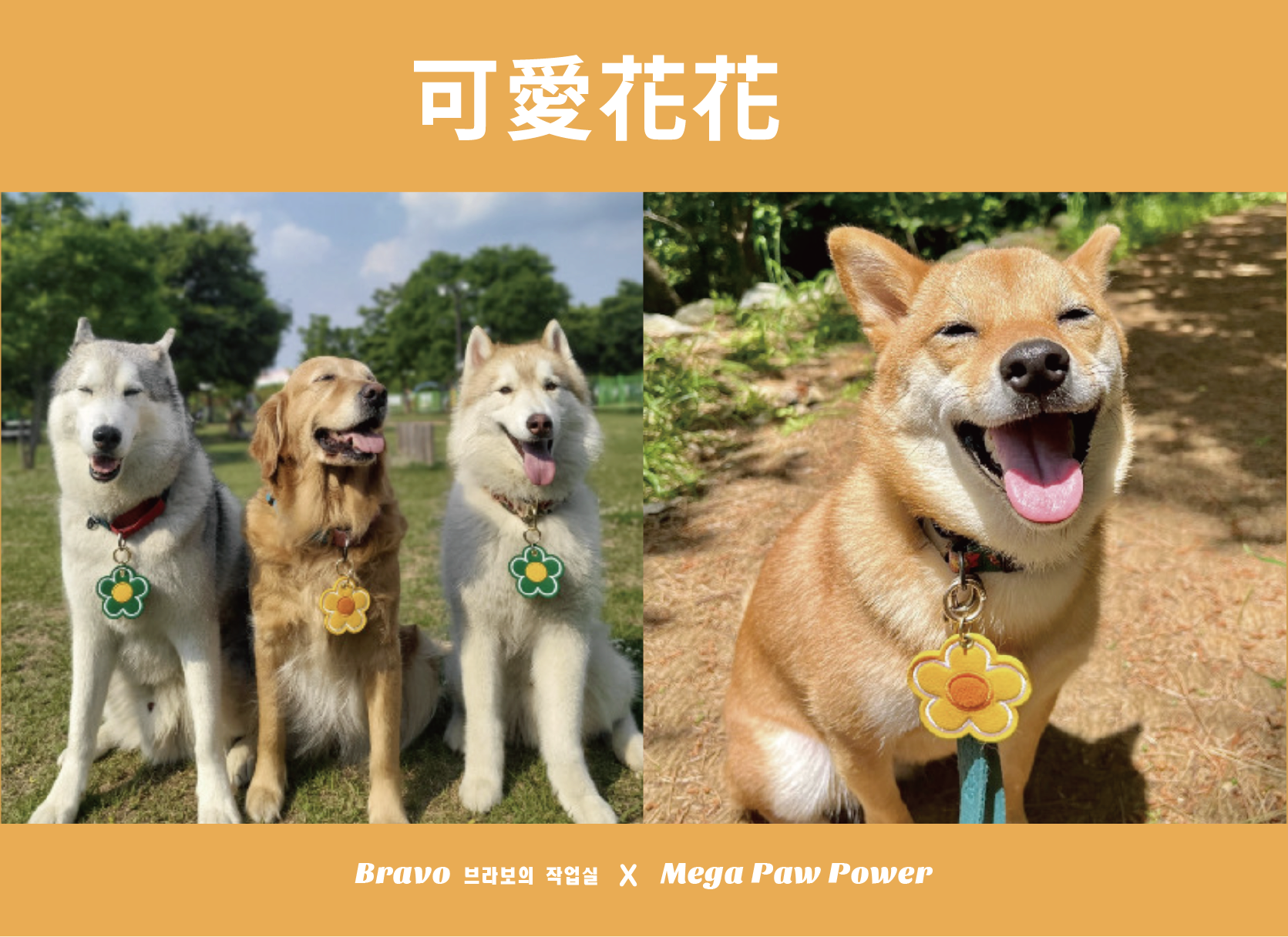 預購｜Bravo 可愛花花