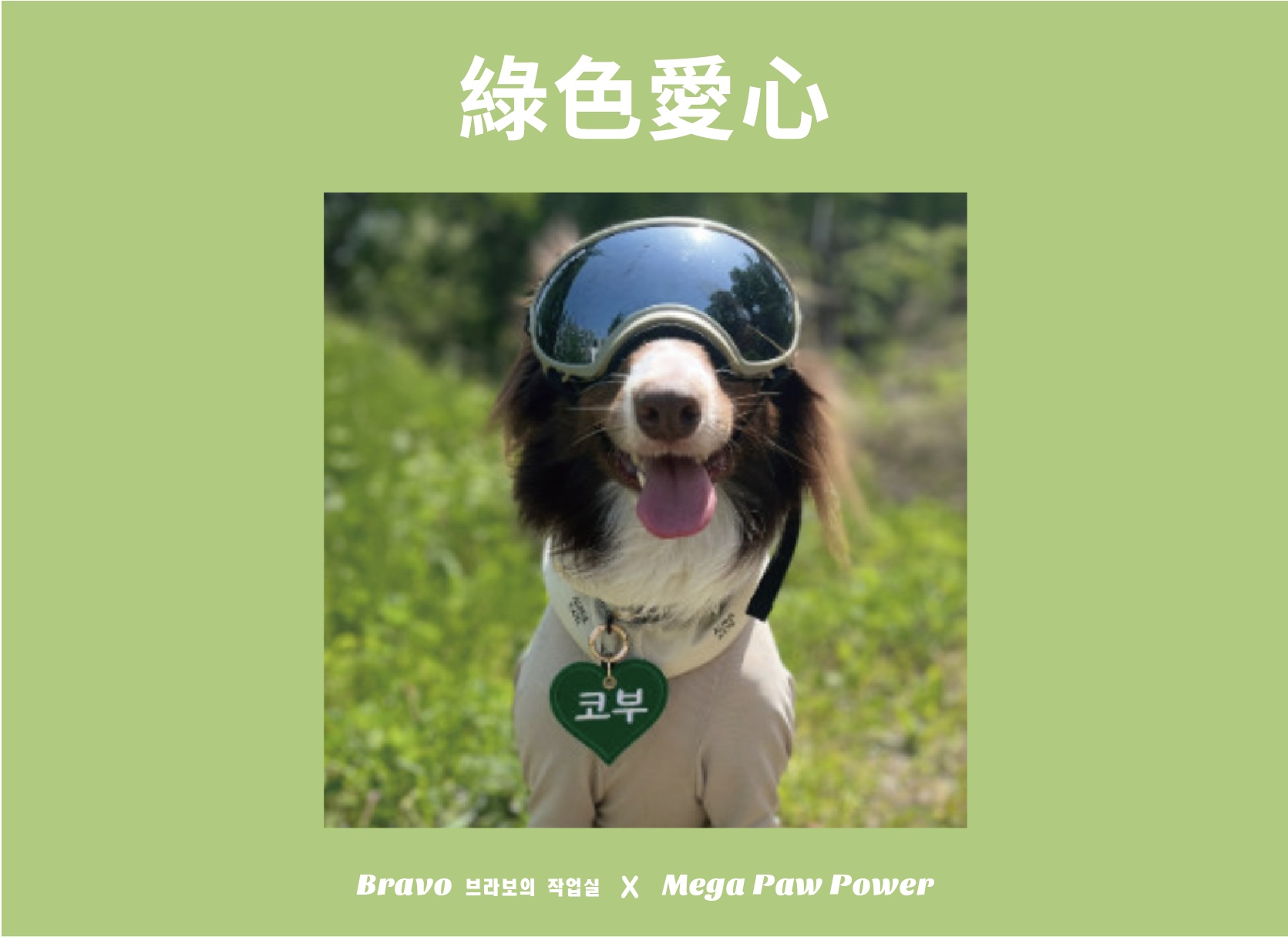 預購｜Bravo 綠色愛心