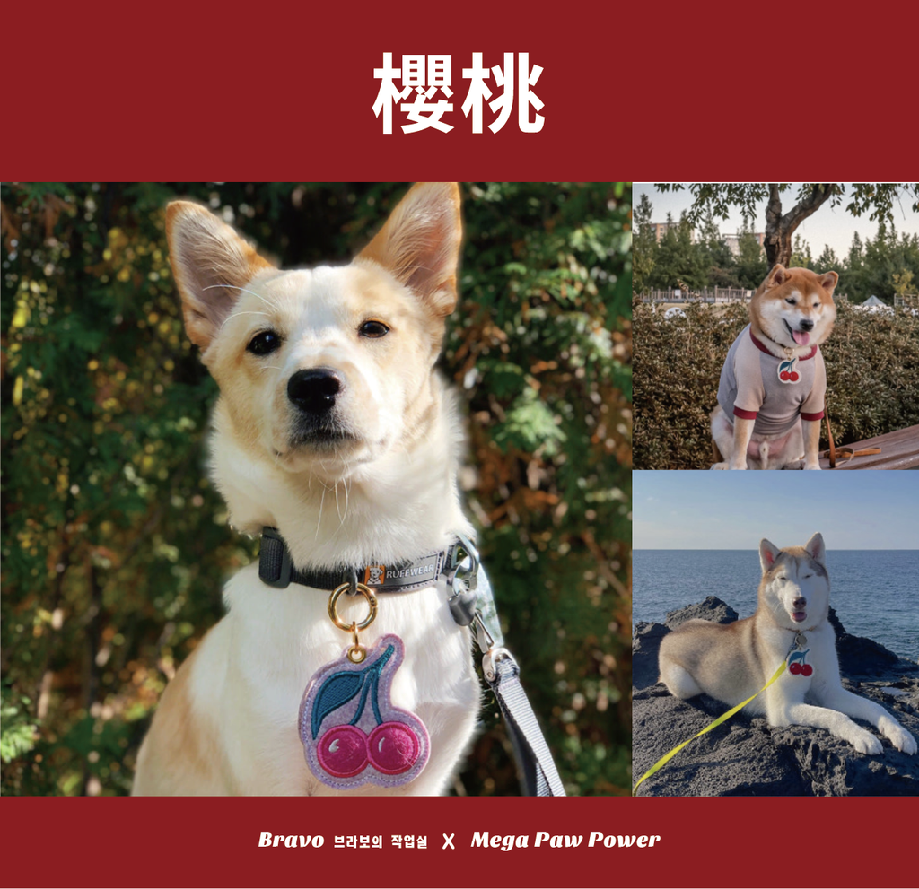 預購｜Bravo 櫻桃