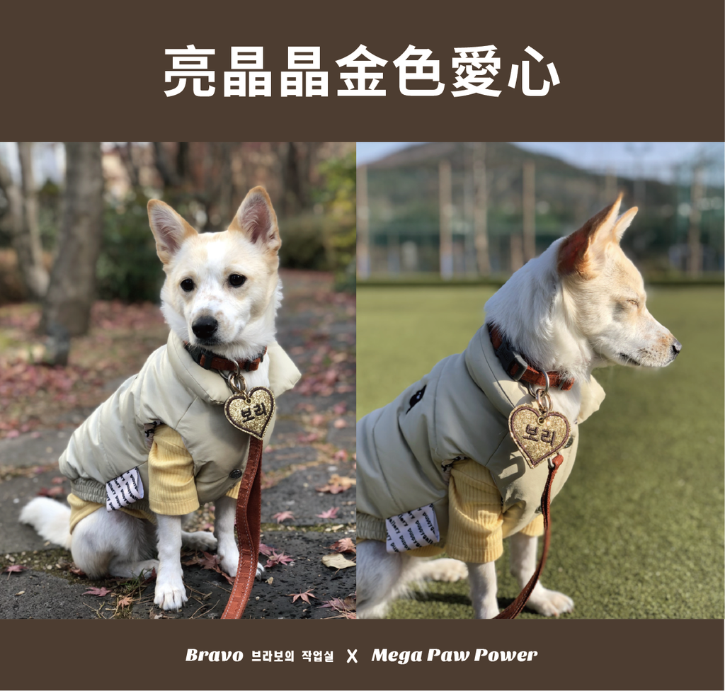 預購｜Bravo 亮晶晶金色愛心