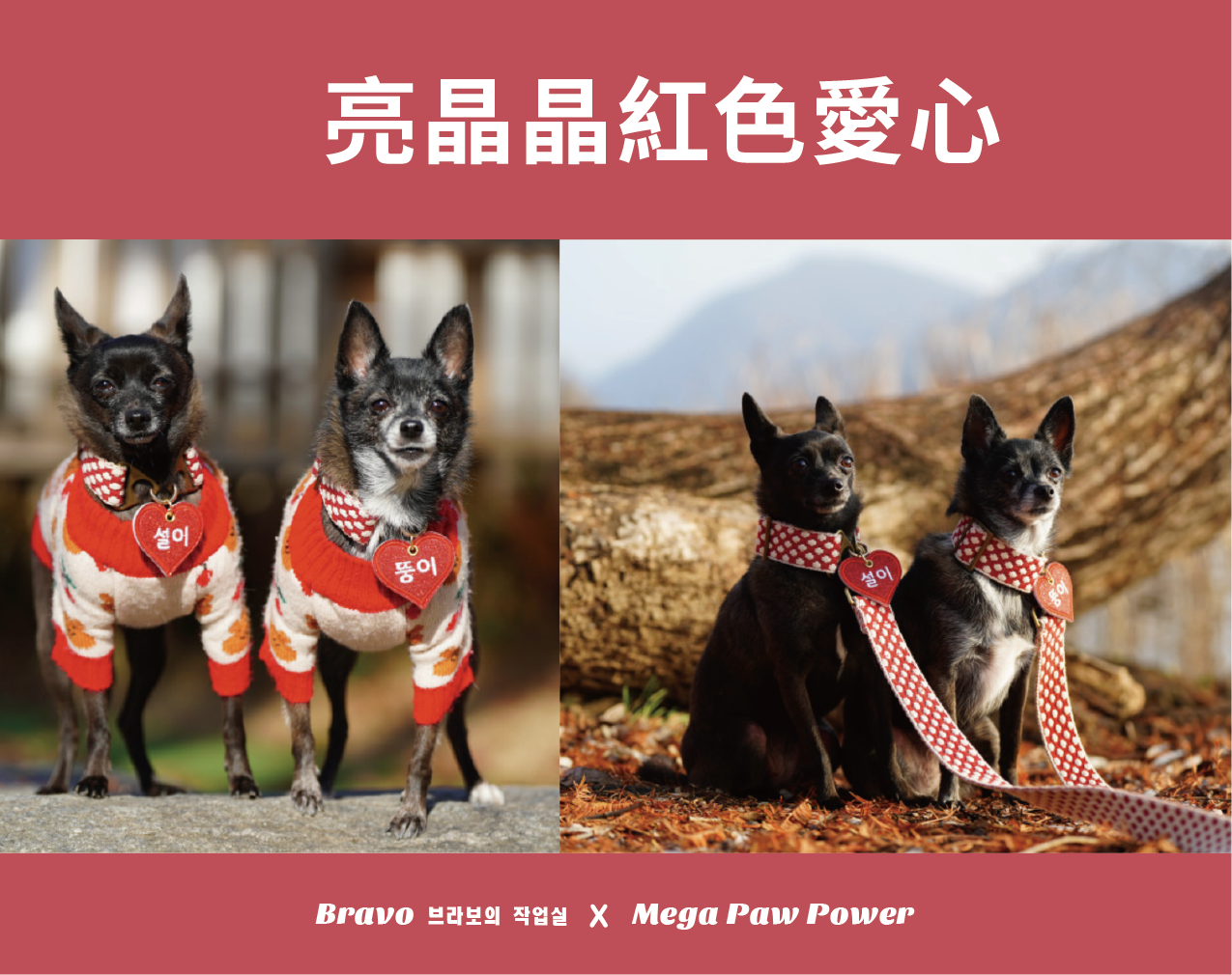 預購｜Bravo 亮晶晶紅色愛心