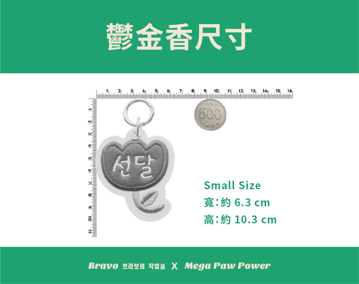 預購｜Bravo 鬱金香 [2026新款]