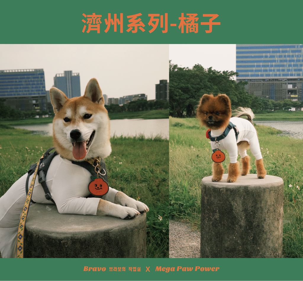 預購｜Bravo 濟州島系列-橘子
