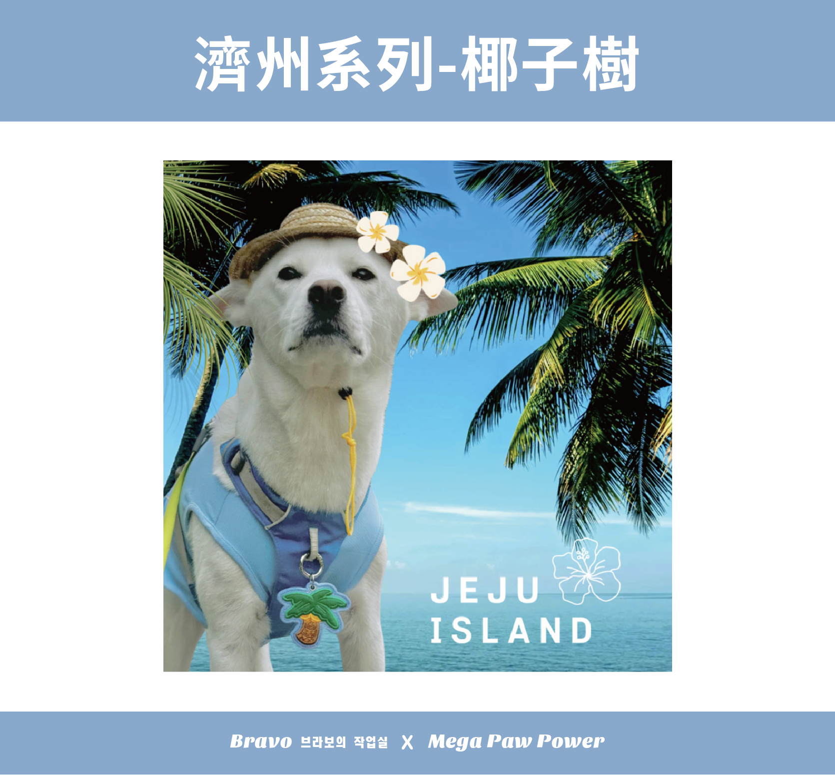 預購｜Bravo 濟州島系列-椰子樹
