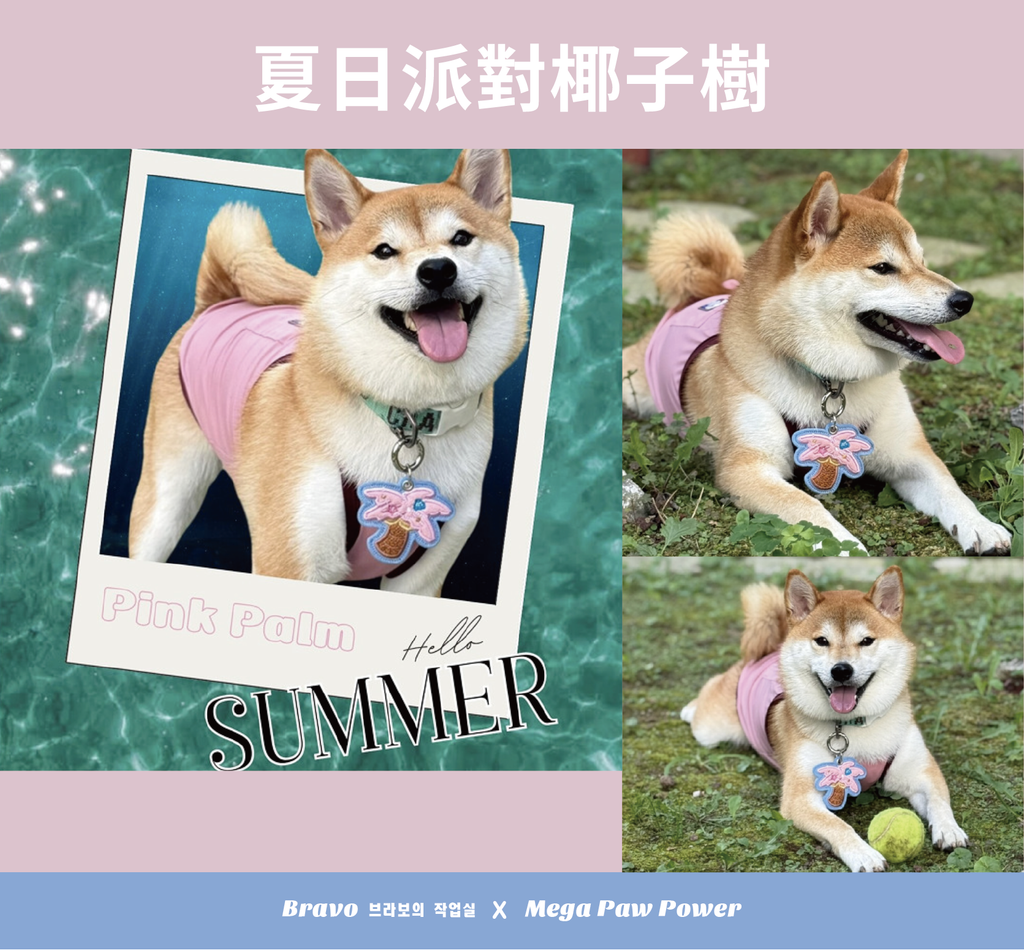 預購｜Bravo 濟州島系列-夏日派對椰子樹