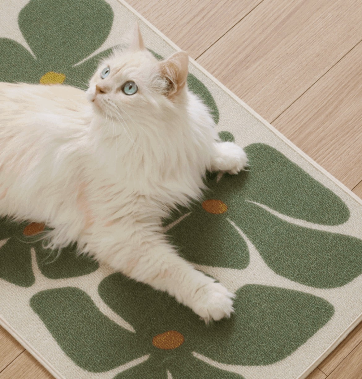 代購｜fidotail 藝術海報貓抓墊