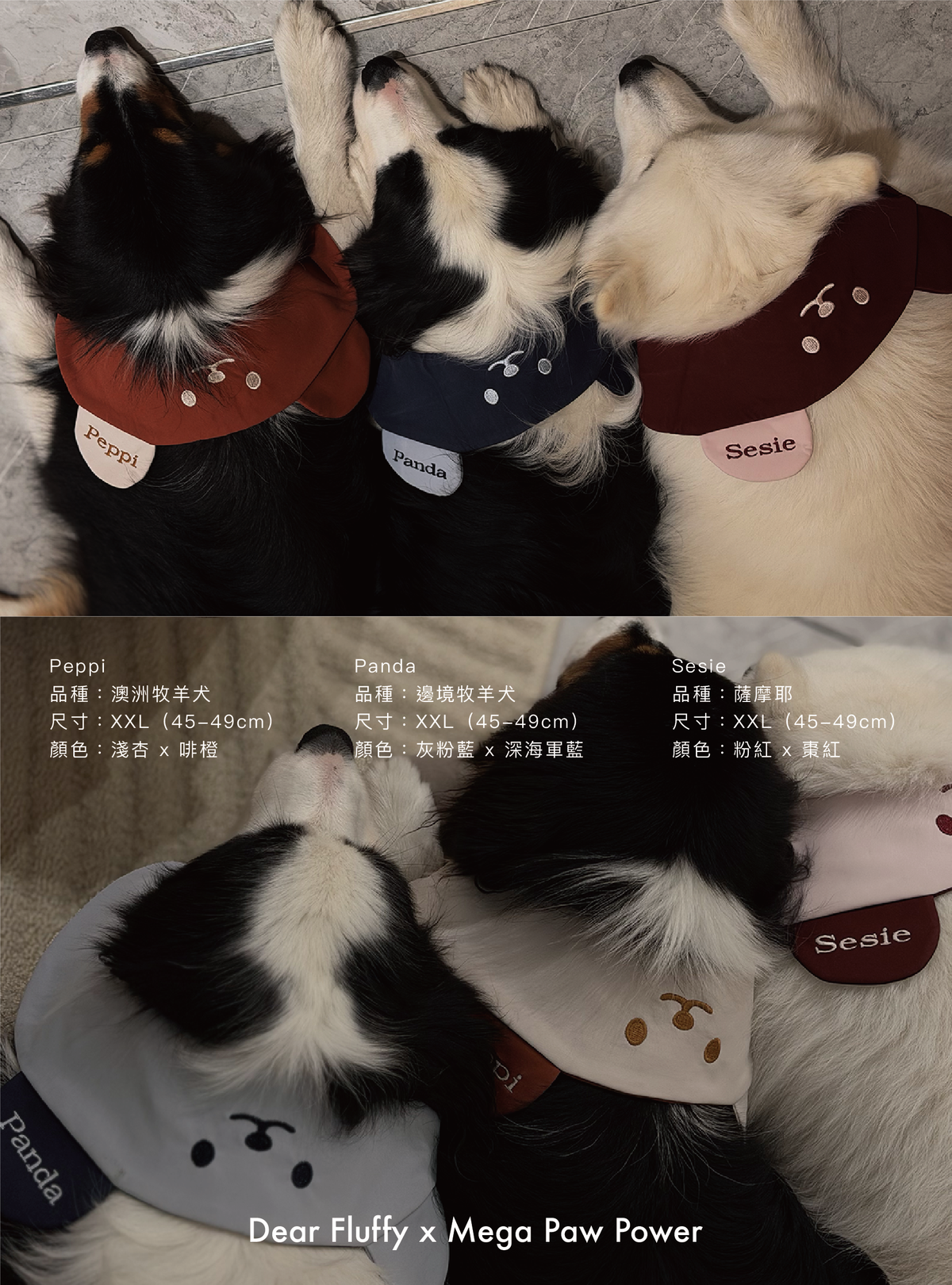 Dear Fluffy｜運動風雙面小熊披風（4色）
