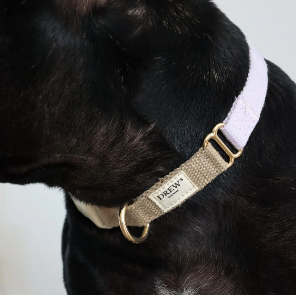 Drew's｜Soft & Adjustable Dog Collar 項圈