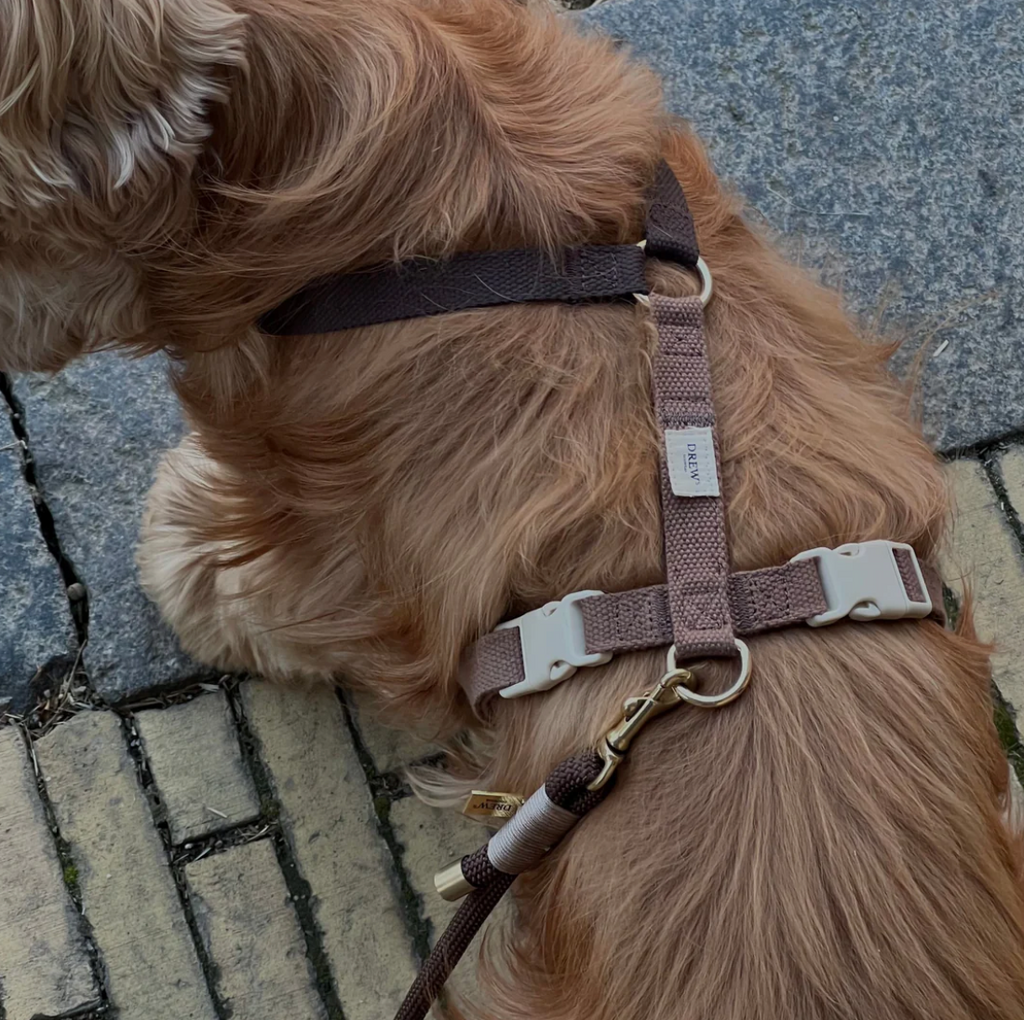 Drew's｜Soft & Adjustable Dog Harness 一般胸背帶