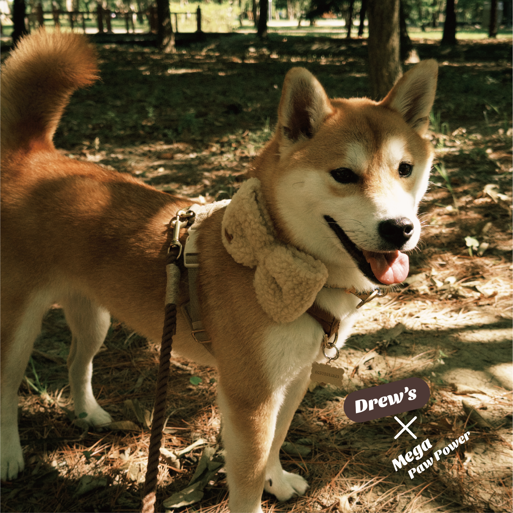 Drew's｜毛絨絨蝶結