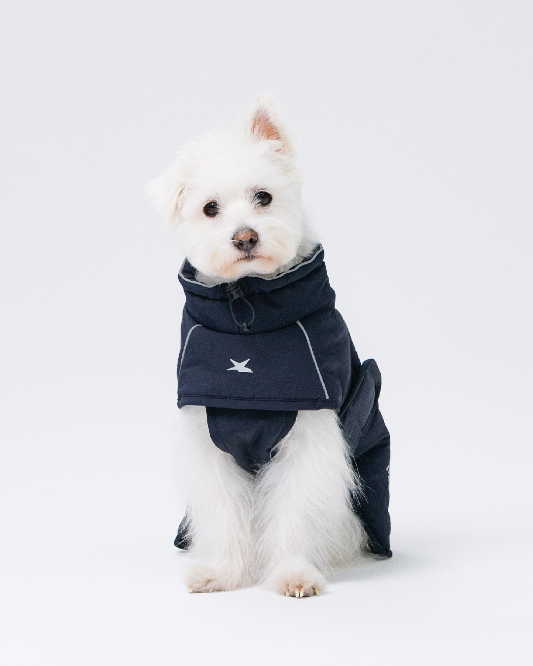 Paaawr｜輕量保暖澎澎外套 Ember Puffer_Navy