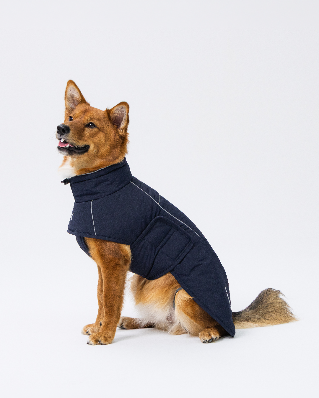 Paaawr｜輕量保暖澎澎外套 Ember Puffer_Navy