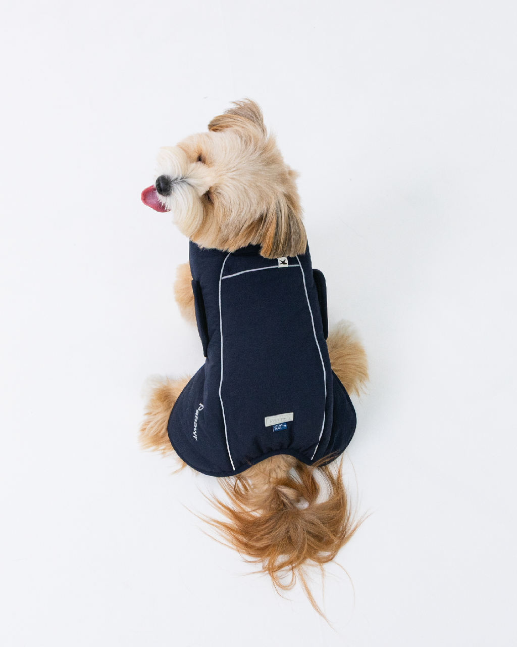 Paaawr｜輕量保暖澎澎外套 Ember Puffer_Navy