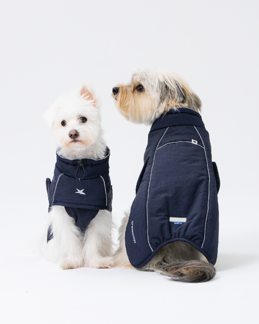 Paaawr｜輕量保暖澎澎外套 Ember Puffer_Navy