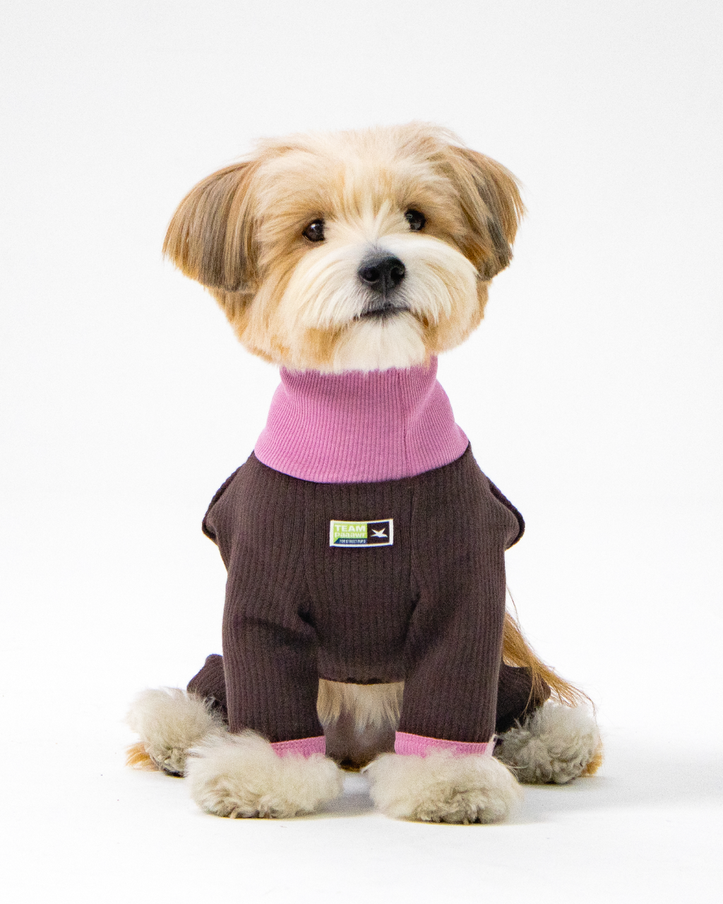 Paaawr｜翻領雙面連身衣 Flip Neck All-in-one_Brown