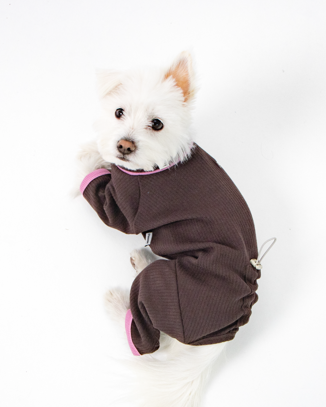 Paaawr｜翻領雙面連身衣 Flip Neck All-in-one_Brown